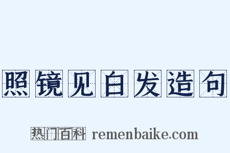 照镜见白发造句是什么意思的图片